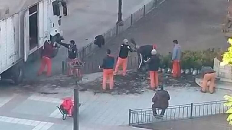 Trasladaron decenas de plantines para implementar en Plaza Colón.