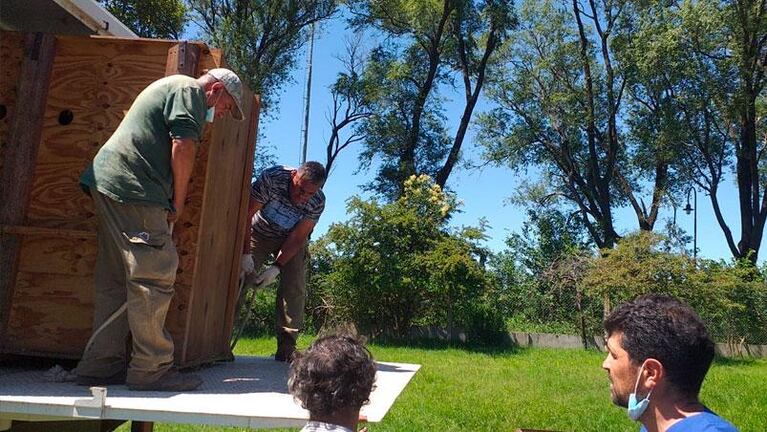 Trasladaron más de 35 animales del ex Zoológico de Córdoba a un Parque Ecológico