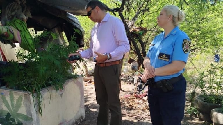 Tres detenidos con medio kilo de cocaína, plantas de marihuana y hasta hongos alucinógenos