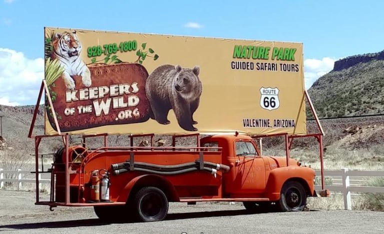 Tres osos, del Zoo Córdoba a Estados Unidos: el traslado tendrá un costo millonario