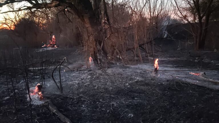 Troncos en llamas y cenizas, el triste paisaje tras el paso del fuego. Foto: Roxana Martínez / El Doce.