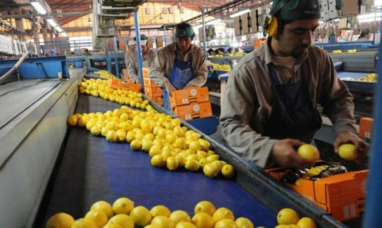 Trump suspendió la importación de limones argentinos