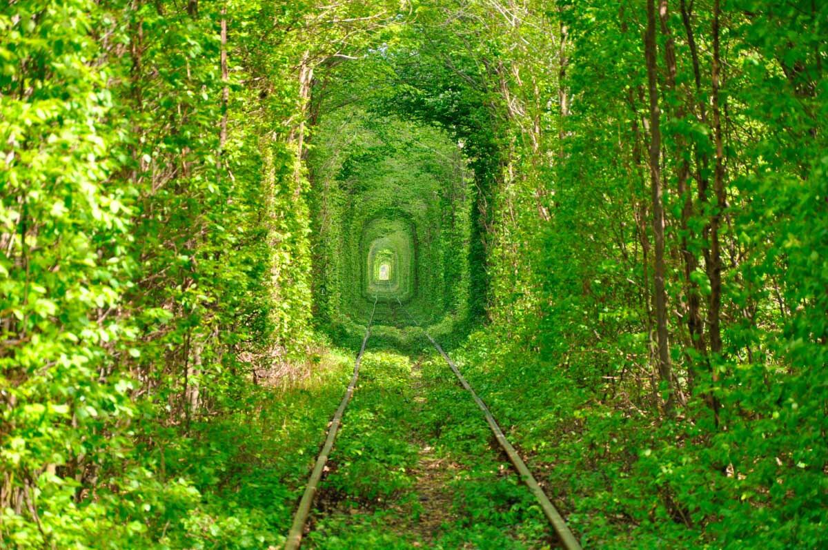 Túnel Del Amor (Klevan, Ucrania)