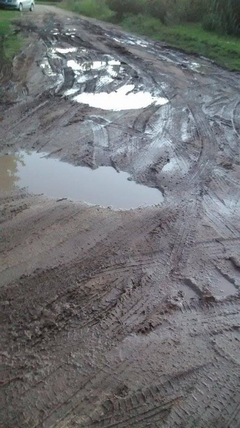 Tus reclamos: Yuyos en San Vicente, la bandera del IPEF y las calles en Mina Clavero