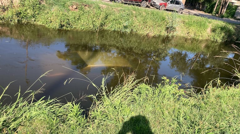 Tuvo una falla, perdió el control del auto y terminó dentro de un canal: las imágenes