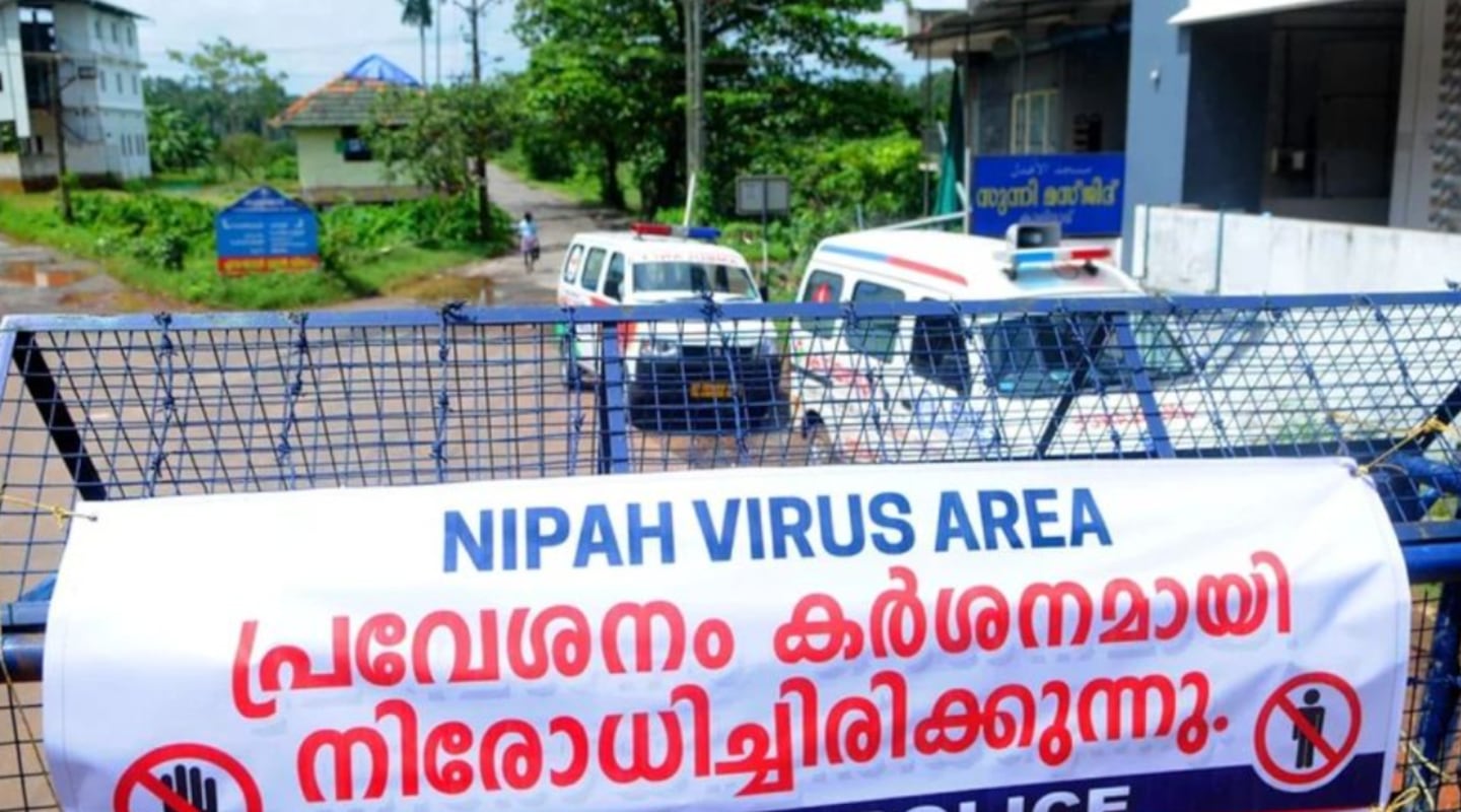 Un adolescente de 14 años murió por el virus Nipah y hay alerta en India por un “potencial pandémico”