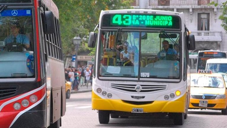 Un alacrán picó a una joven que subía al colectivo y el chofer la llevó de urgencia al hospital