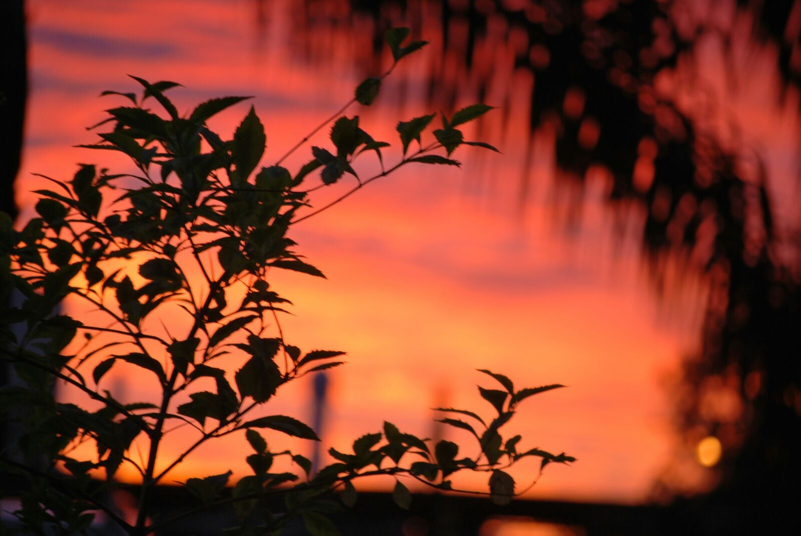 Un amanecer cordobés digno de una postal. Foto: Keko Enrique