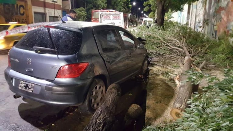 Un árbol cayó encima de un auto en Córdoba