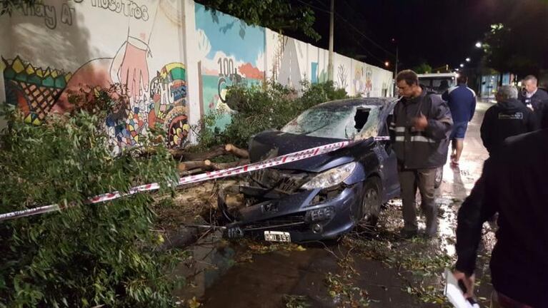 Un árbol cayó encima de un auto en Córdoba