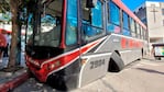 Un árbol de la vereda frenó al colectivo. Foto: Fredy Bustos/ElDoce. 