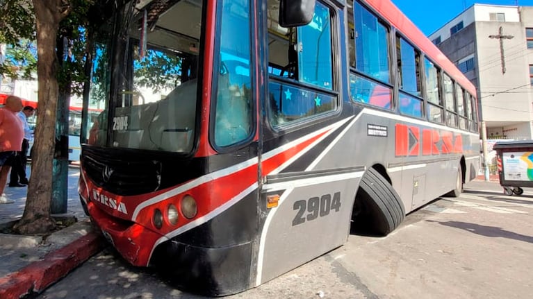 Un árbol de la vereda frenó al colectivo. Foto: Fredy Bustos/ElDoce.