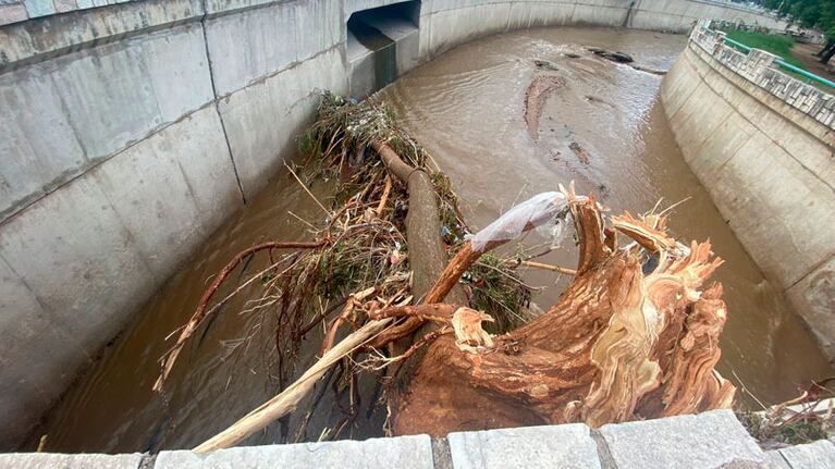 Un árbol fue arrancado de cuajo y quedó atascado en La Cañada. Foto: Luchi Ybañez / El Doce.
