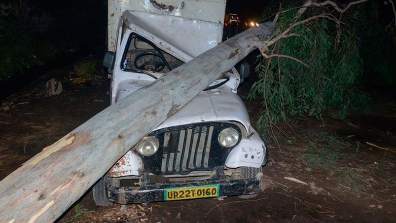 Un árbol que cayó en un vehículo durante la tormenta. Foto: AFP