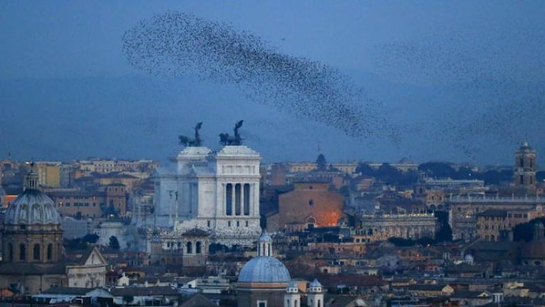 ¡Un asco! Roma se llenó de caca de pájaro 