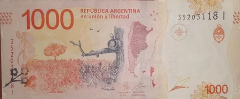 Un billete de $1000 podría valer más de $1.000.000 por un insólito error: cómo saber si lo tenés 