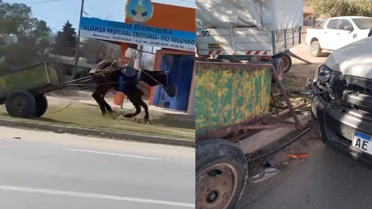 Un caballo desbocado por Río Segundo.