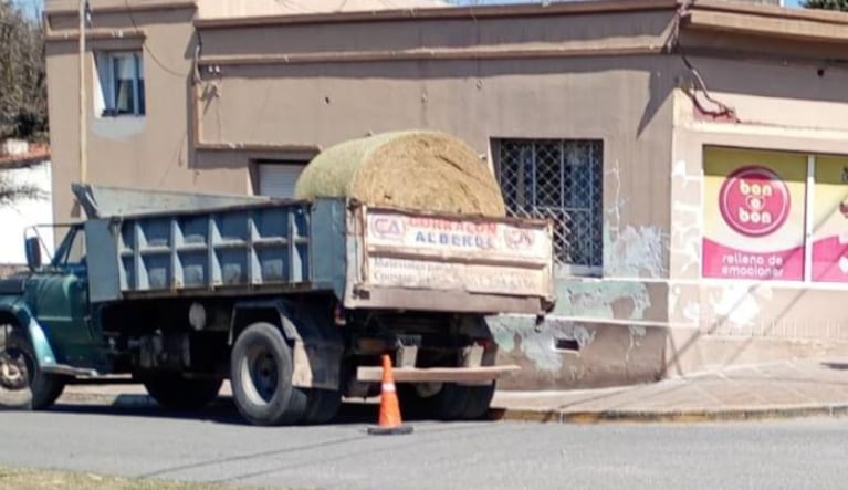 Un camión chocó y mató a un hombre de 77 años en el interior de Córdoba