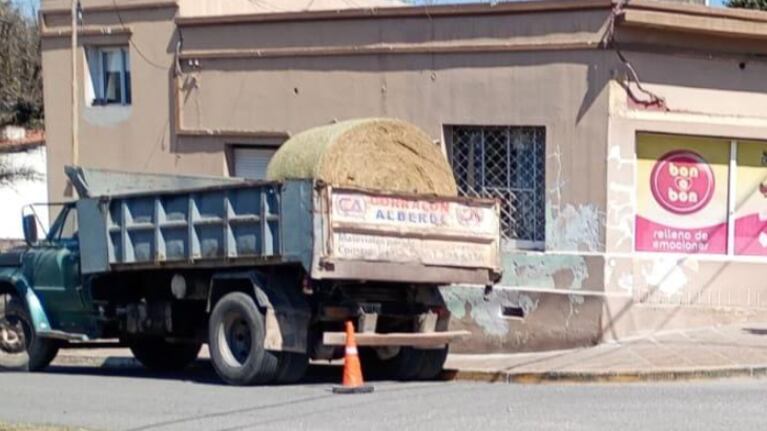 Un camión chocó y mató a un hombre de 77 años en el interior de Córdoba