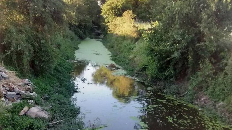 Un canal no se limpia desde hace mucho tiempo. Foto: Paula Del Piano.