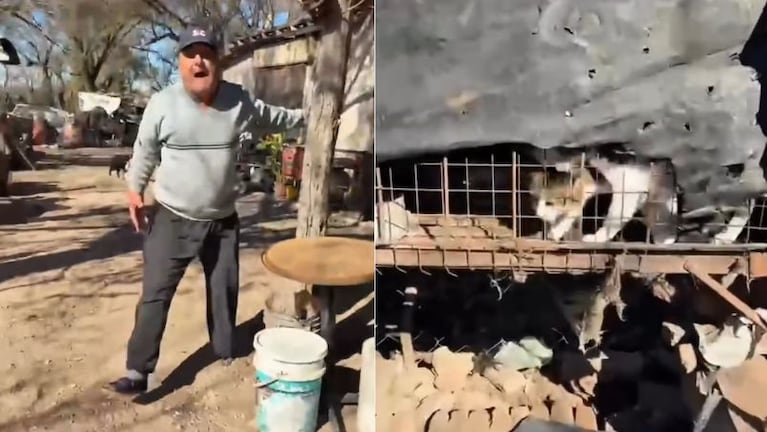 Un caso de maltrato animal se replicó en las redes sociales.