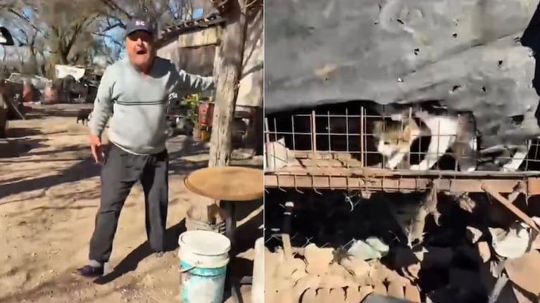 Un caso de maltrato animal se replicó en las redes sociales.