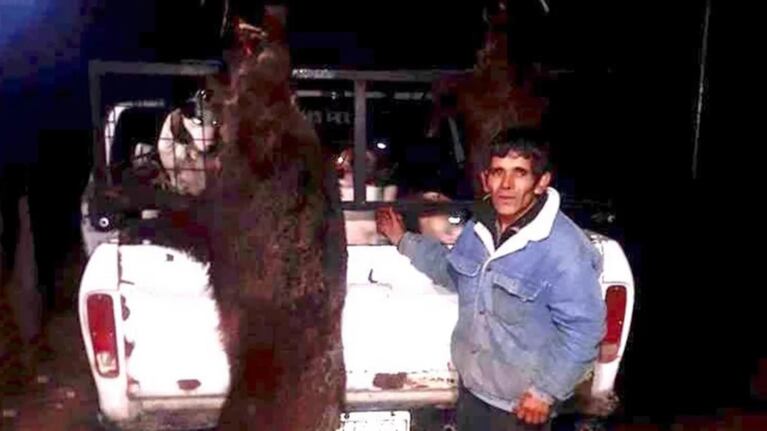 Un cazador murió tras el ataque de un jabalí en La Pampa. (Foto: gentileza diario La Arena).