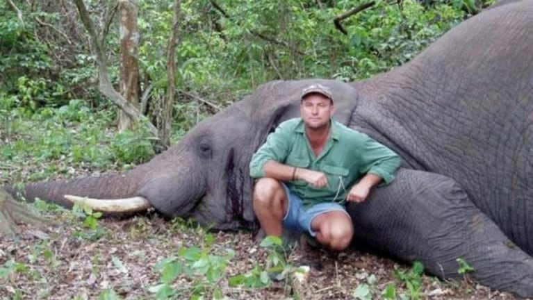 Un cazador profesional murió aplastado por un elefante