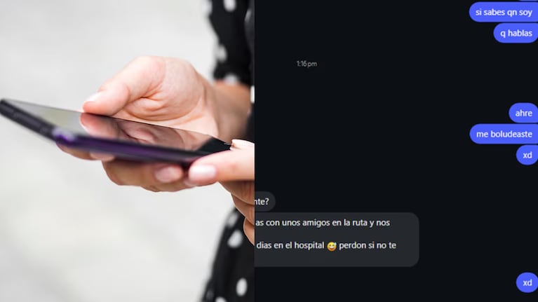 Un chat se volvió viral.