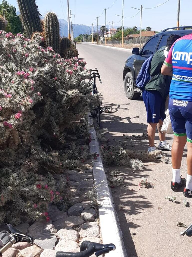 Un ciclista cayó sobre un cactus y miles de espinas se incrustaron en su cuerpo