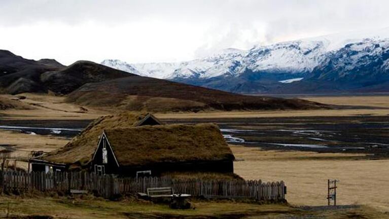 Un científico reveló por qué no hay hormigas en Islandia