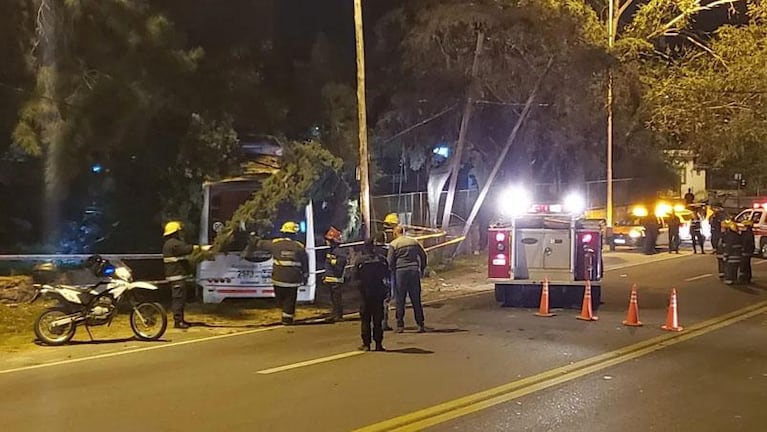 Un colectivo chocó contra un árbol en Carlos Paz: hay 20 heridos