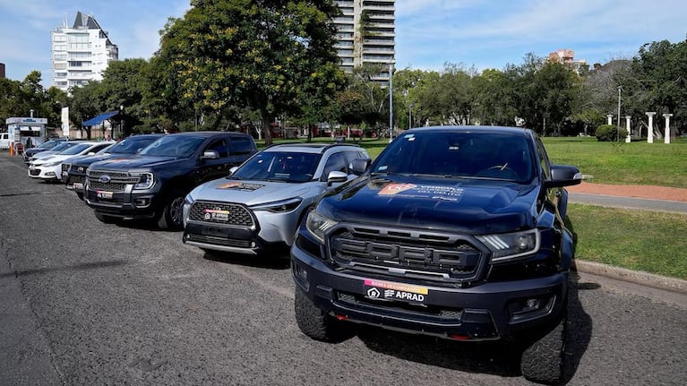 Un cordobés se quedó con la avioneta de un polémico financista durante una “subasta narco”