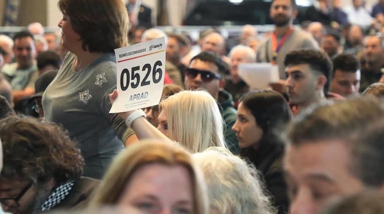 Un cordobés se quedó con la avioneta de un polémico financista durante una “subasta narco”