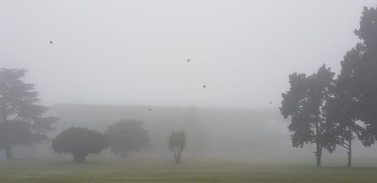 Un denso manto de neblina, la postal de Córdoba de hoy.
