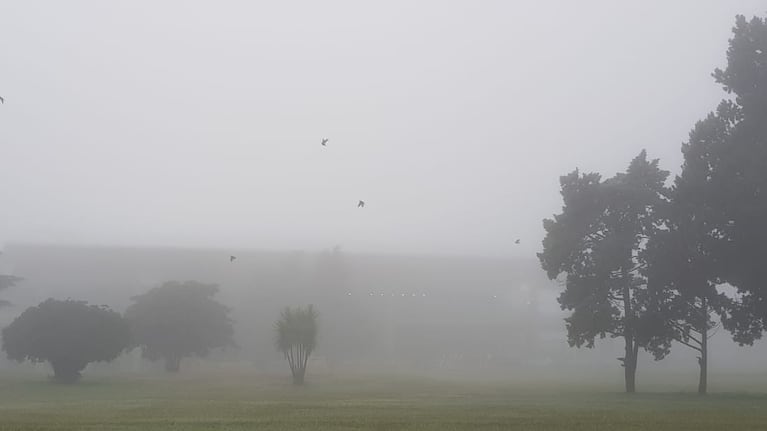 Un denso manto de neblina, la postal de Córdoba de hoy.