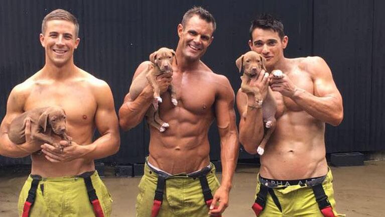 ¡Un fuego! El calendario 2017 de bomberos y perritos