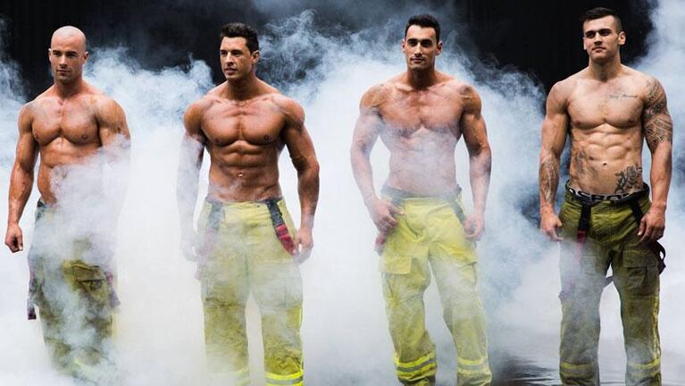 ¡Un fuego! El calendario 2017 de bomberos y perritos