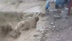 Un hombre casi es arrastrado por la fuerza del agua.