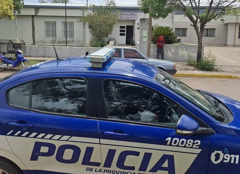 Un hombre murió atacado por abejas ( Gentileza- Primer Informe)