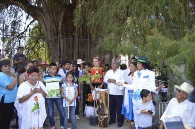 Un hombre se casó con un árbol en México