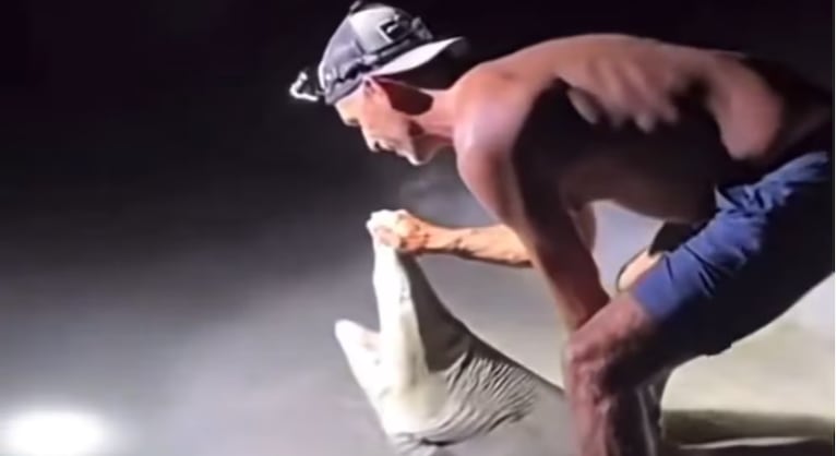 Un hombre se quiso tomar una selfie con un tiburón y fue mordido.