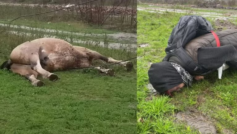 Un hombre y un caballo murieron electrocutados