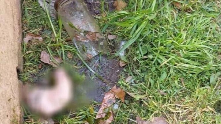 Un jardinero encontró un pene mientras cortaba el pasto en una casa