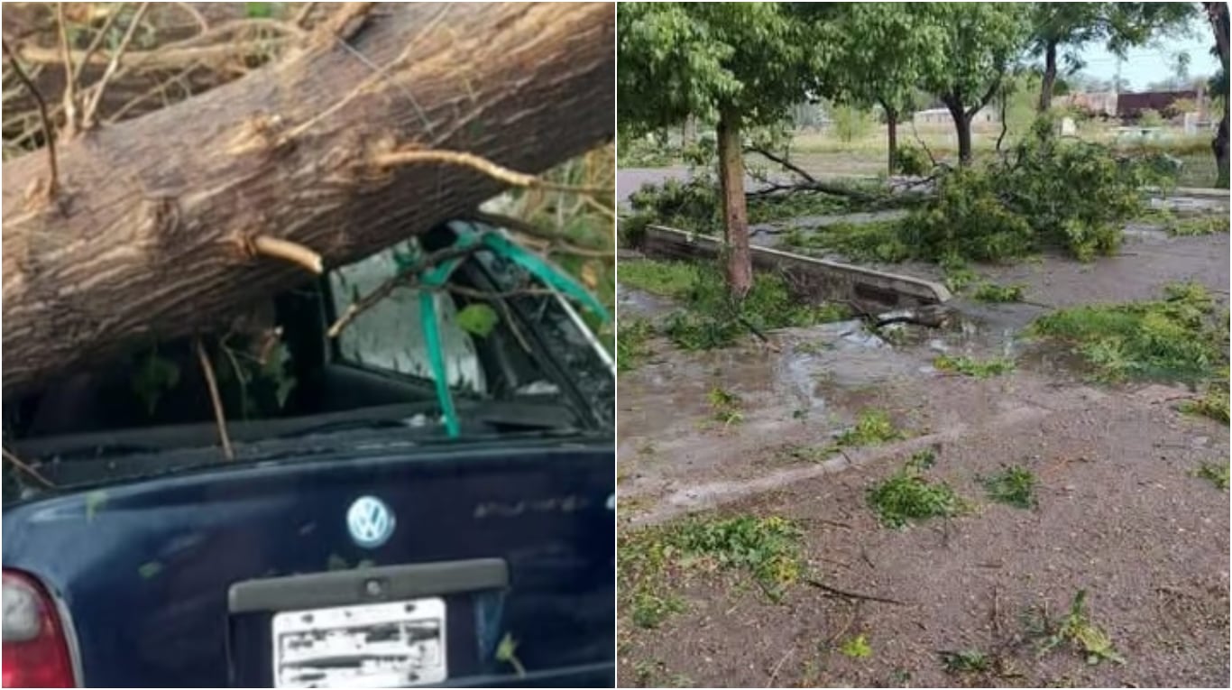 Un joven de 23 años murió en Santa Rosa al caer un árbol sobre él durante una intensa tormenta con granizo y vientos huracanados. (Fotos: gentileza diario Los Andes).