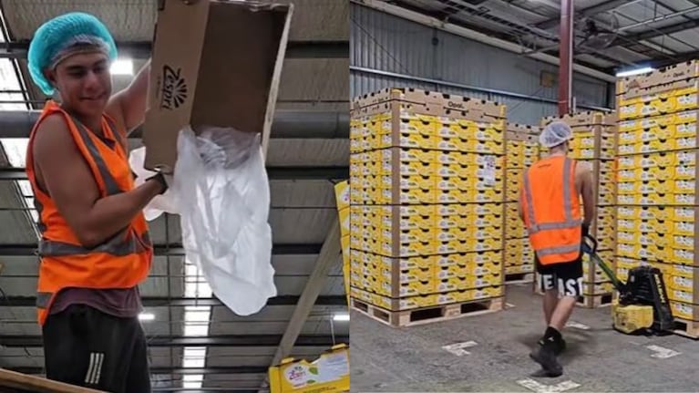 Un joven mostró cuánto ganó en una fábrica de kiwis.