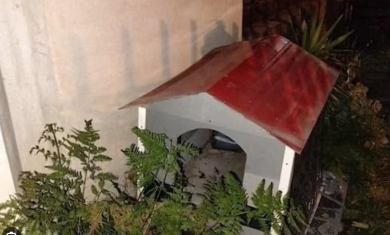 Un ladrón intentó esconderse de la Policía en una cucha de perro, pero fue atrapado.