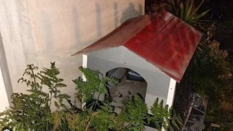 Un ladrón intentó esconderse de la Policía en una cucha de perro, pero fue atrapado.