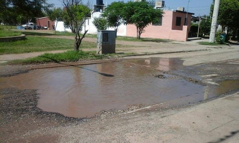 Un lago, una "laguna" y una parada tapada de yuyos