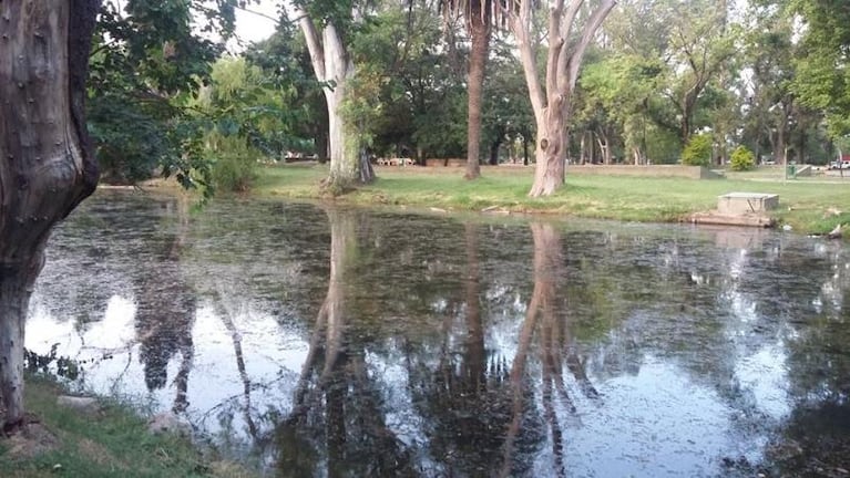 Un lago, una "laguna" y una parada tapada de yuyos